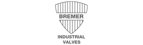 Logo Bremer